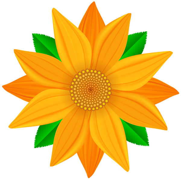 This png image - Orange Flower Transparent PNG Clip Art Image, is available for free download
