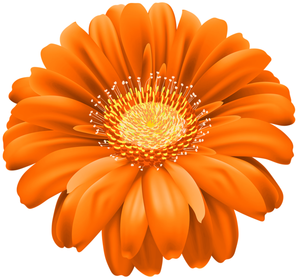 This png image - Orange Gerber Flower PNG Transparent Clipart, is available for free download