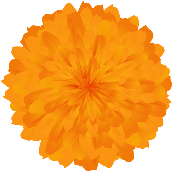 This png image - Orange Marigold Dwarf Flower PNG Clipart, is available for free download