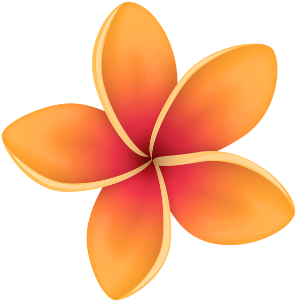 This png image - Orange Tropical Flower PNG Clip Art Image, is available for free download