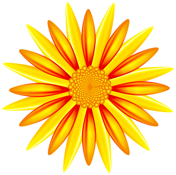 This png image - Orange Yellow Flower PNG Transparent Clipart, is available for free download