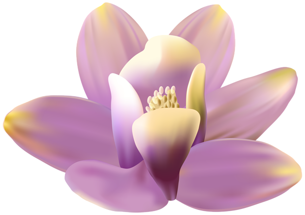 This png image - Orchid Soft Purple PNG Transparent Clipart, is available for free download