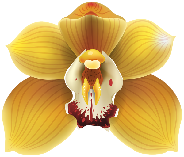 This png image - Orchid Transparent Clip Art, is available for free download