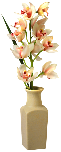 This png image - Orchid in Vase PNG Clip Art Image, is available for free download