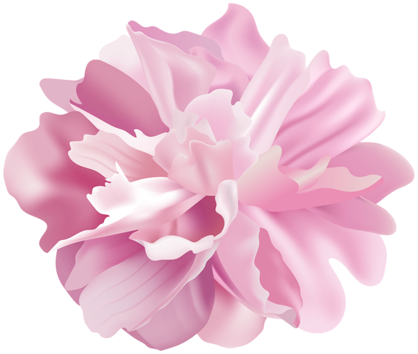 This png image - Peony Flower Transparent Image, is available for free download