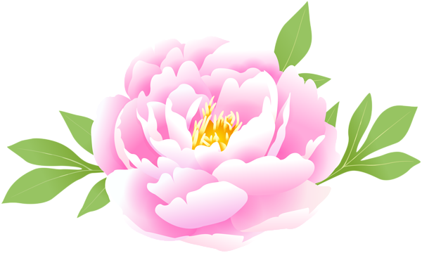 This png image - Peony Pink PNG Clipart, is available for free download