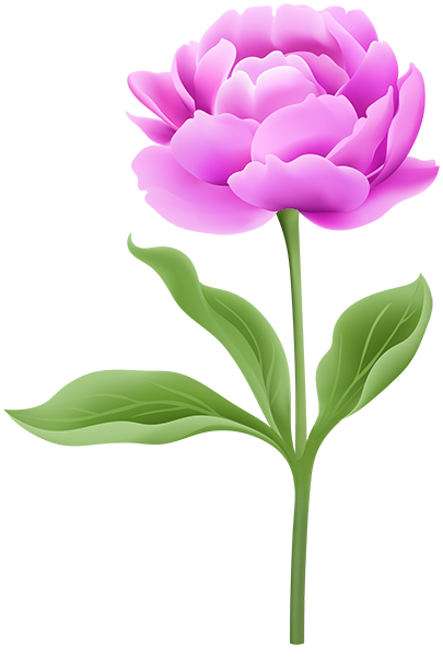 This png image - Peony with Stem PNG Clipart, is available for free download