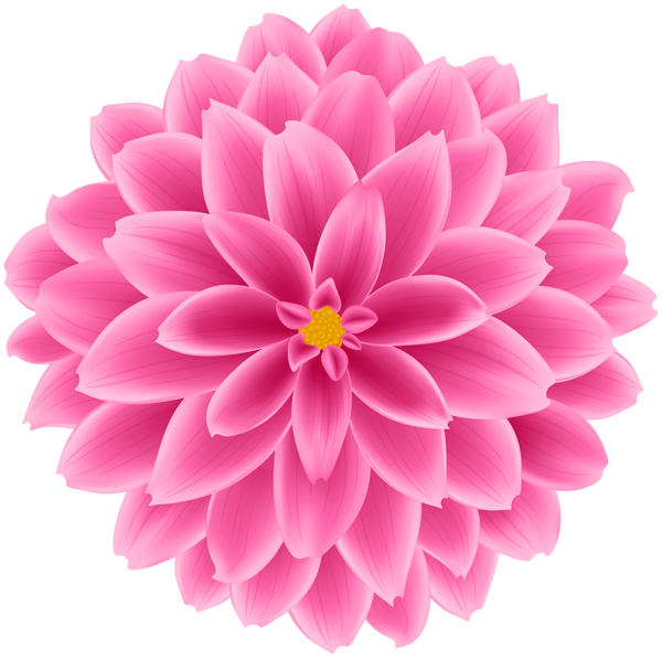 This png image - Pink Dahlia Flower Transparent Clipart, is available for free download