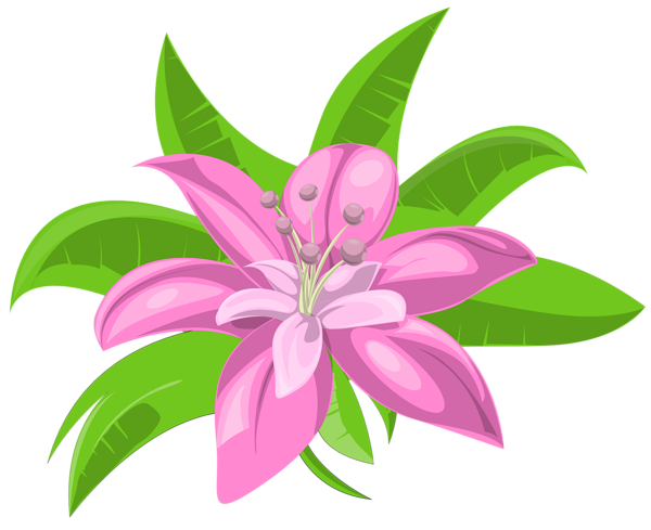 This png image - Pink Exotic Flower PNG Image, is available for free download