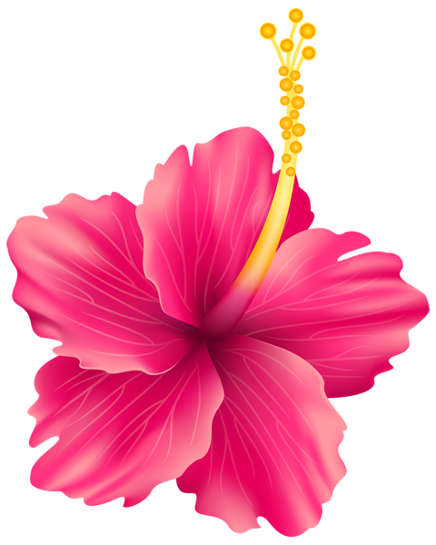 Pink Exotic Flower PNG Transparent Clip Art Image ...