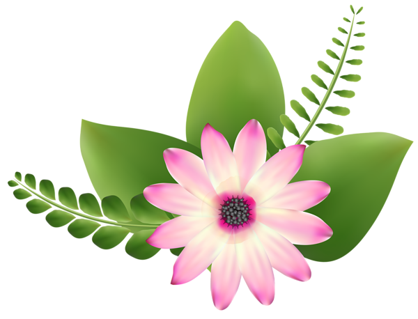 This png image - Pink Flower Clip-Art PNG Image, is available for free download