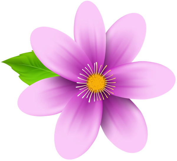 This png image - Pink Flower Clip Art Image, is available for free download