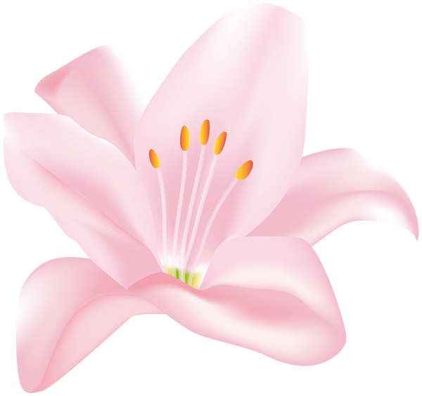 This png image - Pink Flower Clip Art PNG Transparent Image, is available for free download