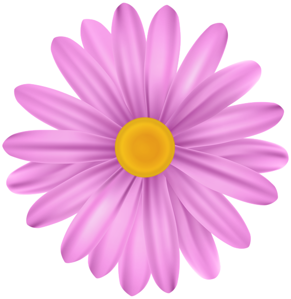 Pink Flower Daisy PNG Transparent Clipart | Gallery Yopriceville - High ...