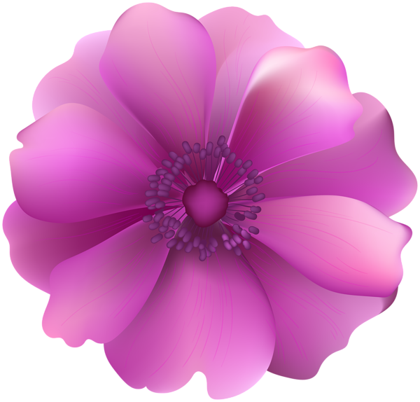This png image - Pink Flower Decorative Transparent Clip Art, is available for free download