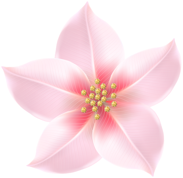 This png image - Pink Flower Decorative Transparent Image, is available for free download