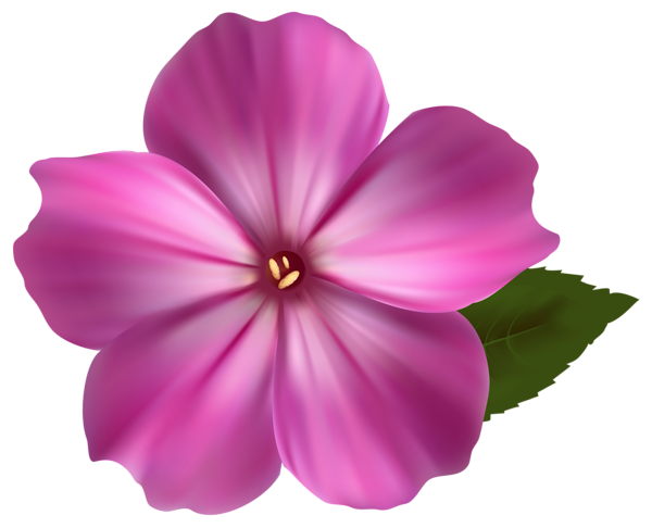 Pink Flower PNG Clipart Image | Gallery Yopriceville - High-Quality