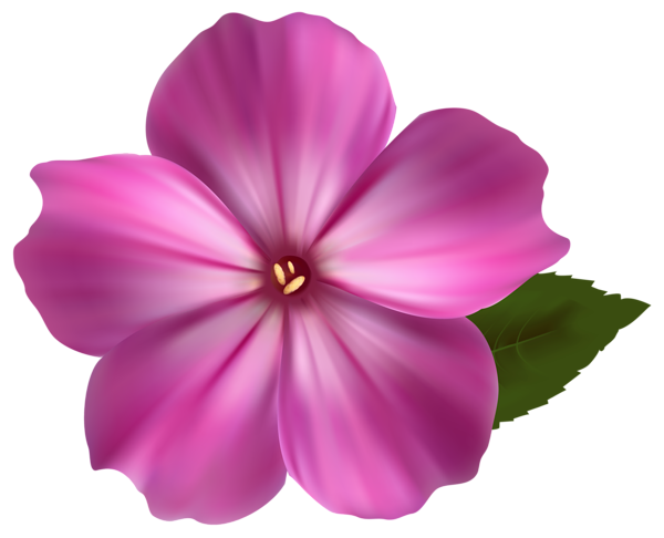 This png image - Pink Flower PNG Clipart Image, is available for free download