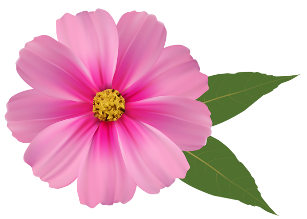 This png image - Pink Flower PNG Image Clipart, is available for free download