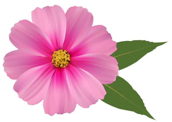 Pink Flower Png Image Clipart Gallery Yopriceville High Quality Pink Flower Png Image Clipart