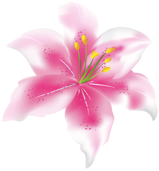 This png image - Pink Flower PNG Transparent Clipart, is available for free download
