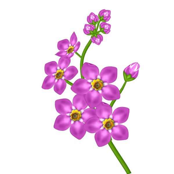 Transparent Background Flower Clipart Png 50 Stunning