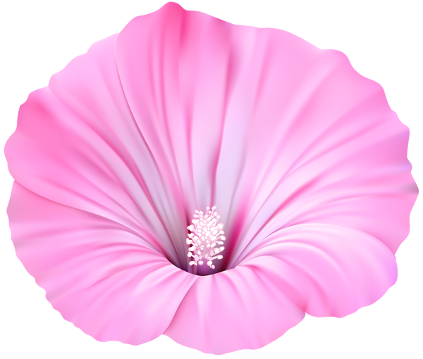 This png image - Pink Flower Transparent PNG Clip Art, is available for free download