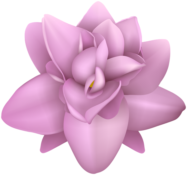 This png image - Pink Flower Transparent PNG Image, is available for free download