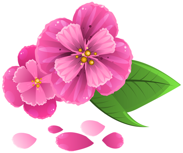 This png image - Pink Flower with Petals PNG Clipart Image, is available for free download