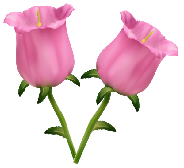 This png image - Pink Flowers Bells PNG Clipart Image, is available for free download