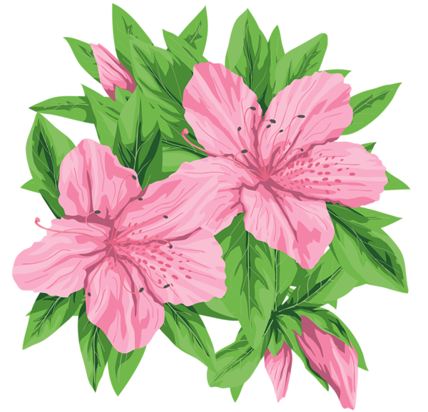 This png image - Pink Flowers PNG Clip-Art Image, is available for free download