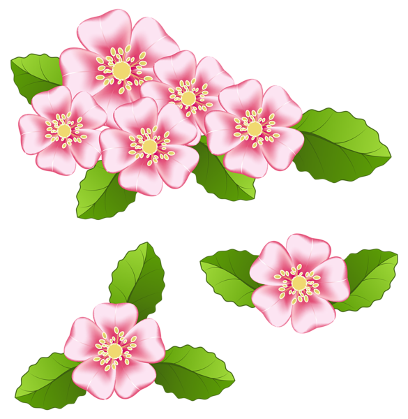 This png image - Pink Flowers Transparent PNG Clip Art Image, is available for free download