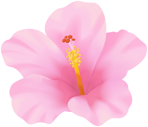 This png image - Pink Hibiscus Flower PNG Clipart, is available for free download