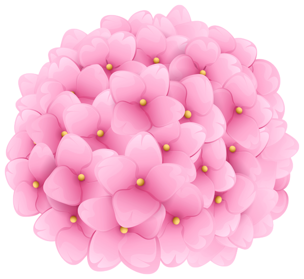 This png image - Pink Hortensia Transparent Image, is available for free download