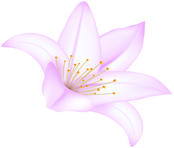 This png image - Pink Lilium Flower PNG Clipart, is available for free download