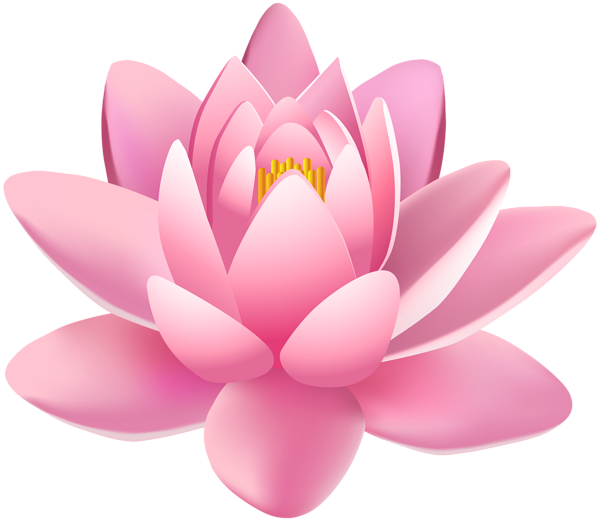 This png image - Pink Lily Flower PNG Clip Art Image, is available for free download