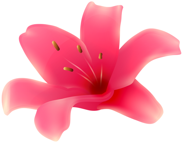 This png image - Pink Lily Flower PNG Transparent Clipart, is available for free download