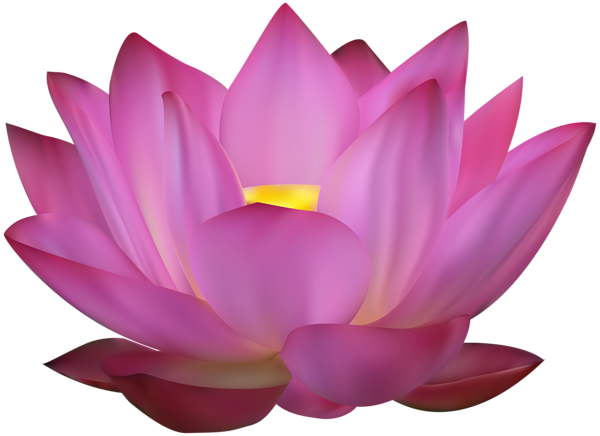 This png image - Pink Lotus Clip Art PNG Image, is available for free download