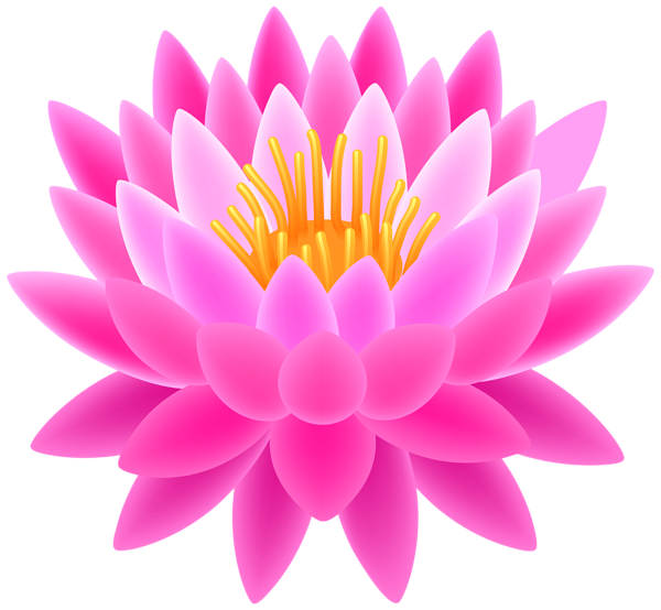 This png image - Pink Lotus Transparent PNG Clip Art Image, is available for free download