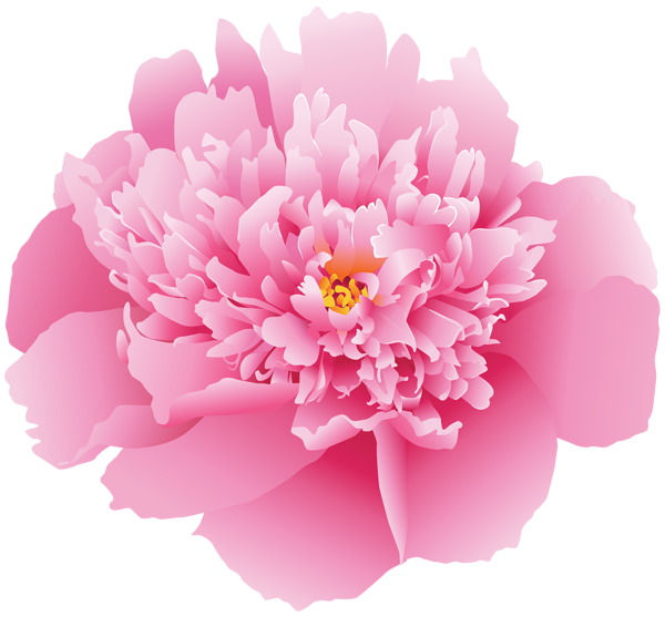 This png image - Pink Peony Flower PNG Clip Art Image, is available for free download