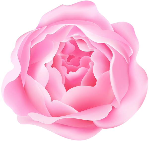 This png image - Pink Peony Flower PNG_Clipart, is available for free download