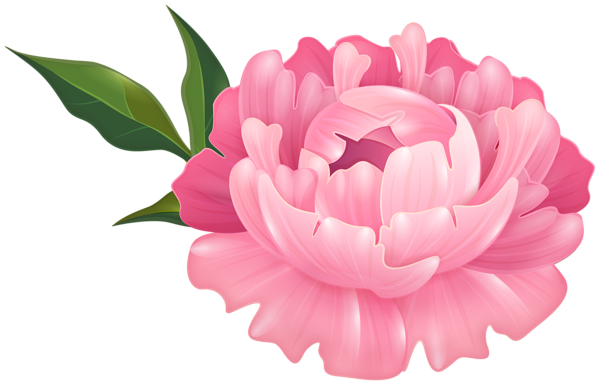 This png image - Pink Peony Flower Transparent Image, is available for free download