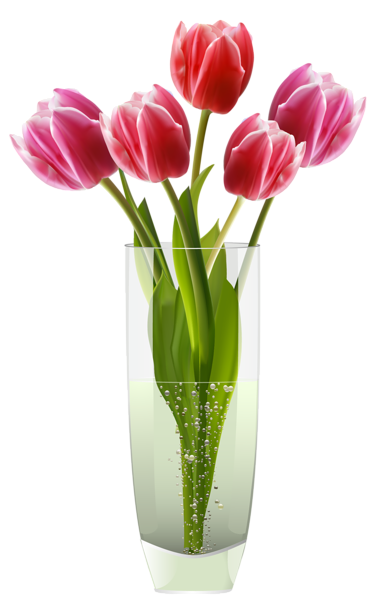 Pink Red Tulips Vase PNG Clipart | Gallery Yopriceville ...
