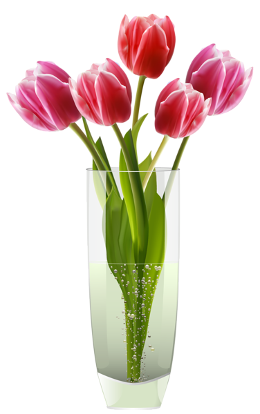 This png image - Pink Red Tulips Vase PNG Clipart, is available for free download
