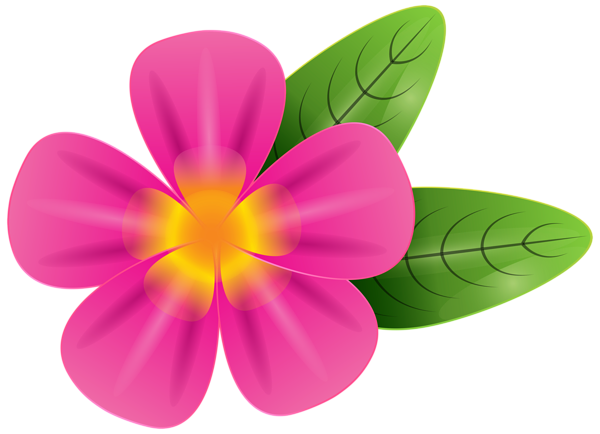 This png image - Pink Tropic Flower PNG Clip Art Image, is available for free download