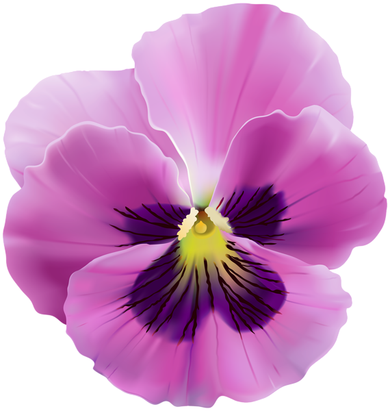 This png image - Pink Violet Flower Transparent Clip Art, is available for free download