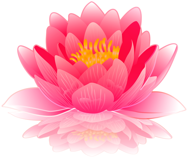 This png image - Pink Water Lily PNG Clip Art Image, is available for free download