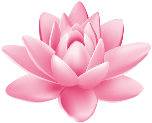 This png image - Pink Water Lily PNG Clipart, is available for free download
