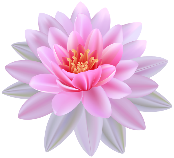 This png image - Pink Water Lily PNG Clipart Image, is available for free download