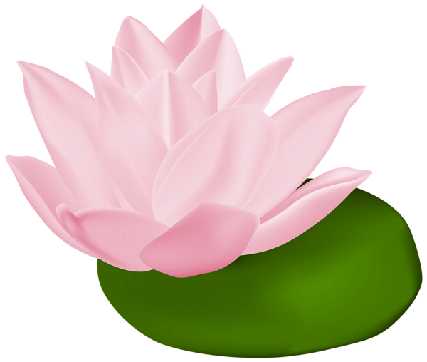 This png image - Pink Water Lily Transparent PNG Clip Art Image, is available for free download